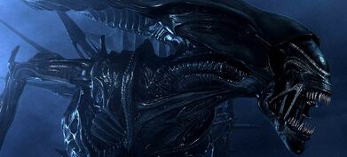AliensPost3