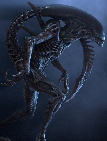 File:Drone.png