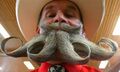 Thumbnail for version as of 17:37, December 12, 2013