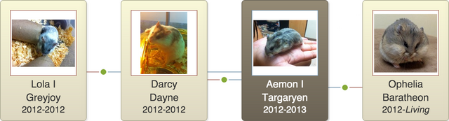 File:Aemon I Targaryen Family Tree.png