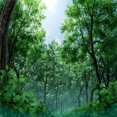 File:NxCBG091.png