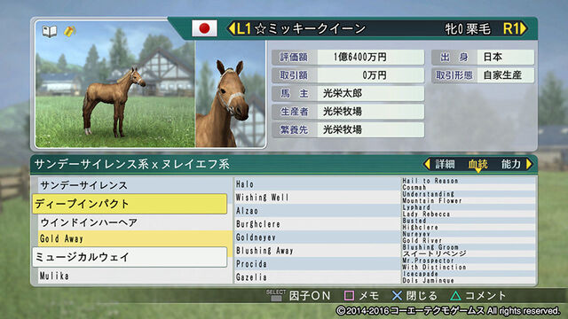 File:Horsedirect2-wp82016dlc.jpg