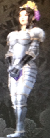 File:Fern Armor (Kessen III).png