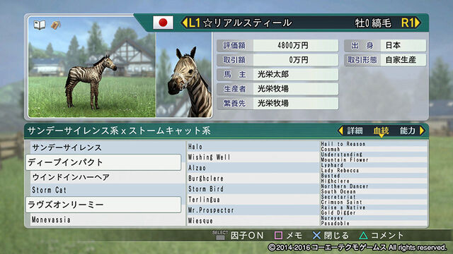 File:Horsedirect3-wp82016dlc.jpg