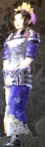 File:Tunic (Kessen III).png