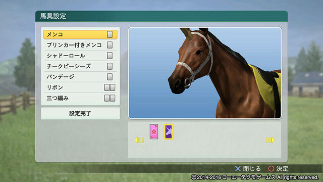 File:Horsetack4-wp82016dlc.jpg
