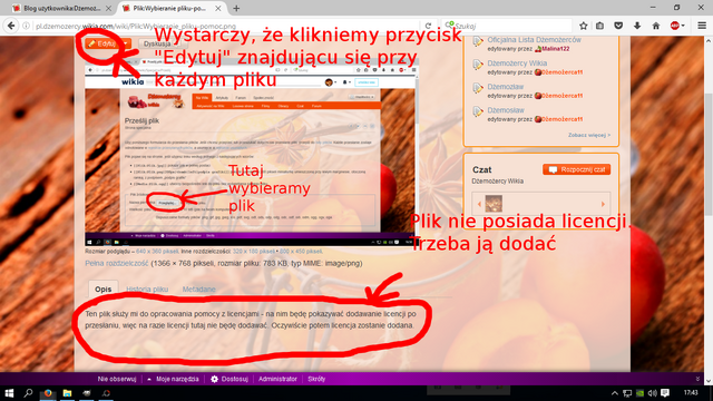 Plik:Strona pliku-pomoc.png