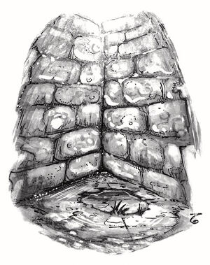 Igloo Wall