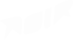 Noir logo