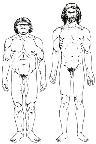 File:Ihomosapiens.jpg