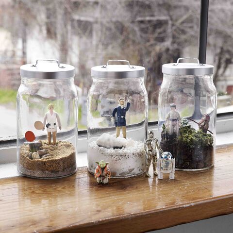 File:Terrarium v1 lifestyle.jpg
