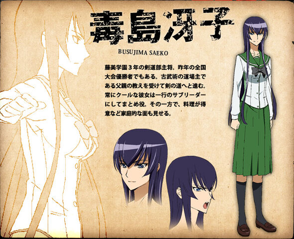 Archivo:Saeko Busujima diseño.jpg