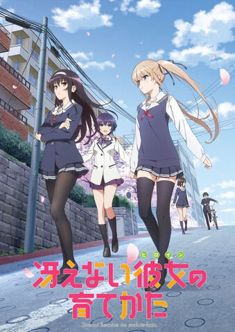 Archivo:Saenai Heroine no Sodatekata.jpg