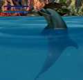 Thumbnail for version as of 03:43, November 7, 2011