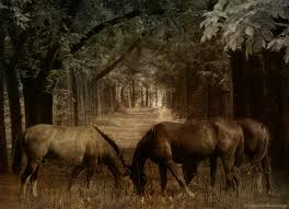 File:Horseswoods6.jpg