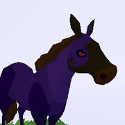 Fell horse