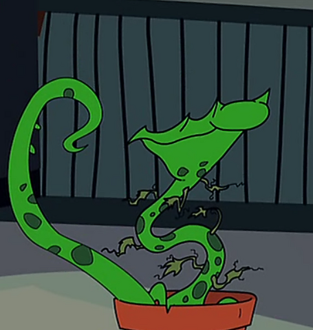 File:Berenice1.png