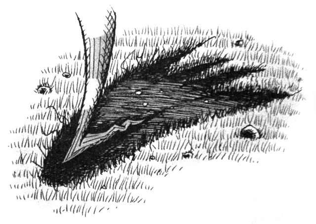 File:Ithune4.png