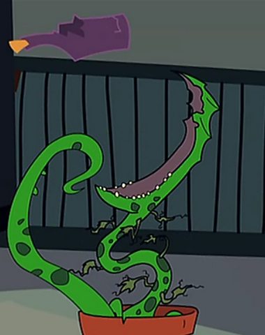 File:Berenice2.png