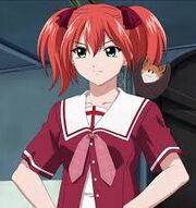 Shuzen kokoa