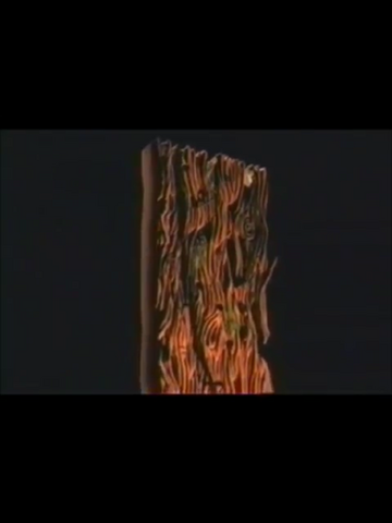File:IMG 1399.png