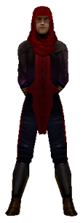 NPC reborn boss