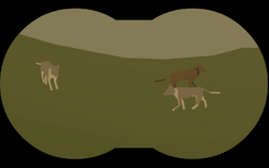 Wolf Pack