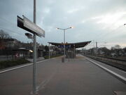 DSCI0277.jpg