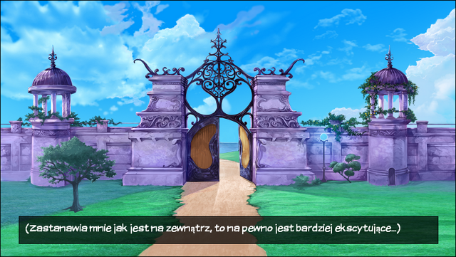Plik:Demo(pl) cz11a.png