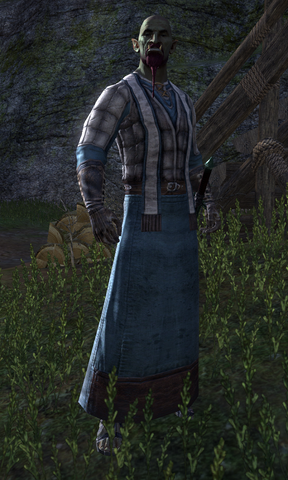 File:Bognash.png
