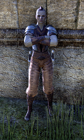 File:Borghak.png
