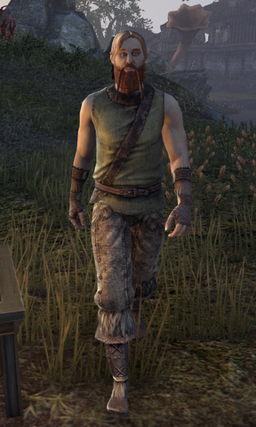 File:Kadord Stormheart.png