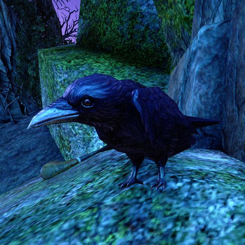 File:ESO Duke of Crows.png