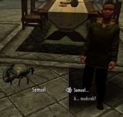 Pet mudcrab