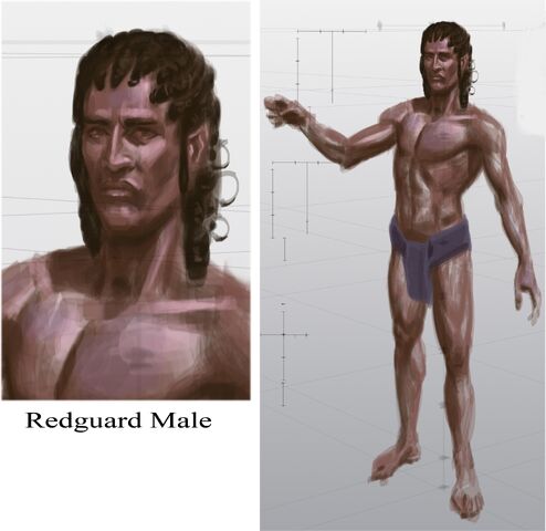 File:Redguard Male.jpg