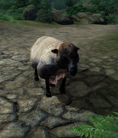 File:Tod.png
