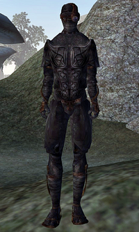 Dark Brotherhood Assassin Morrowind
