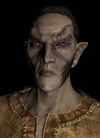 Dosya:SR-race-M-Dunmer.jpg