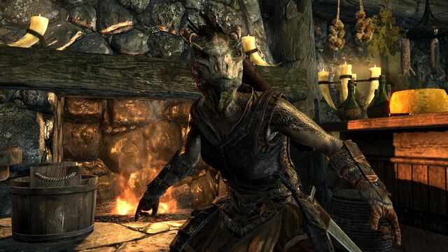File:Argonian pic.jpg
