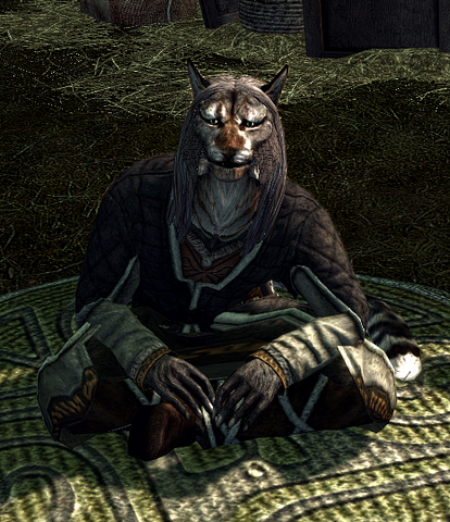 File:Khajiit.png