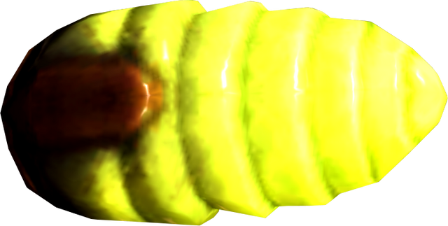 File:Torchbug thorax.png