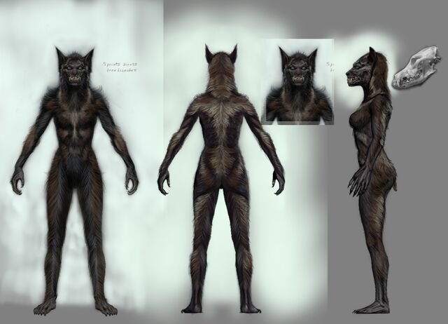 File:Werewolf Female.jpg