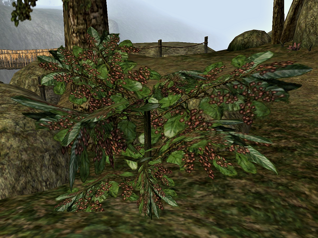 File:Comberry.png