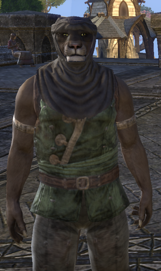 File:Baandari Peddler.png