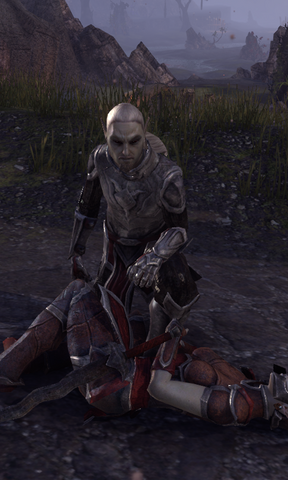 File:Sergeant Larthas.png