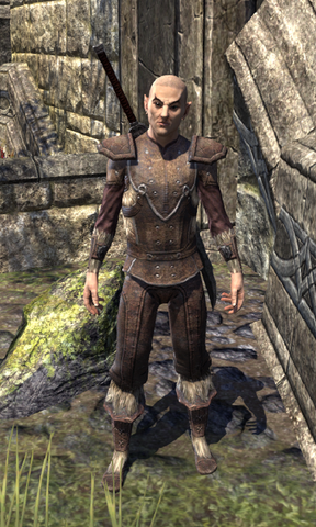 File:Apprentice Odrethin.png