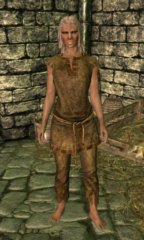 File:Bjarthur.png