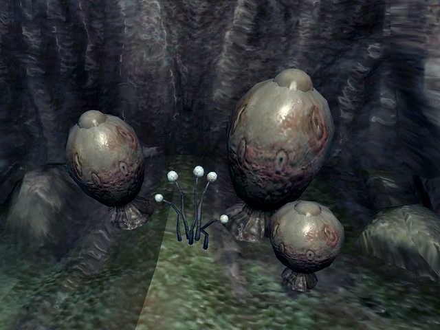 File:Watcher's Eye.png