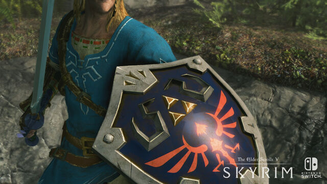File:SkyrimSwitch Shield.jpg