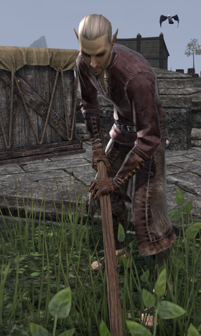 File:Helonel.png